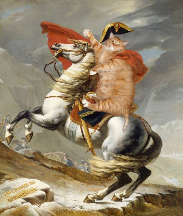 zrebec