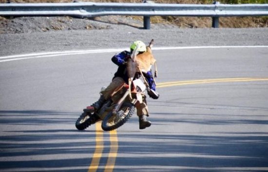 motorkar