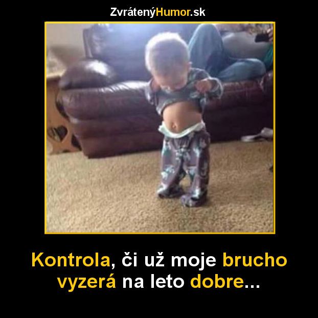 kontrola