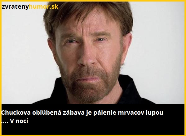 chuck norris 11