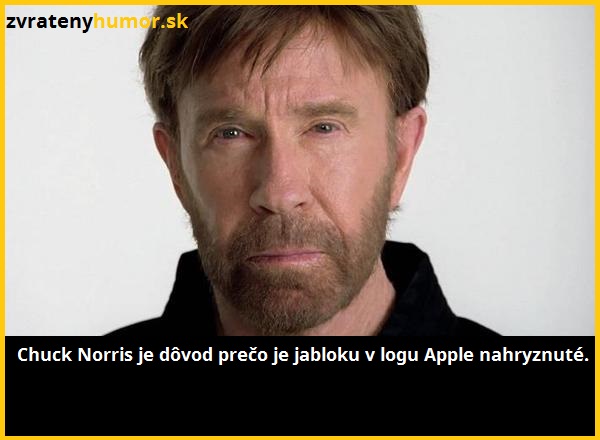 chuck norris 17