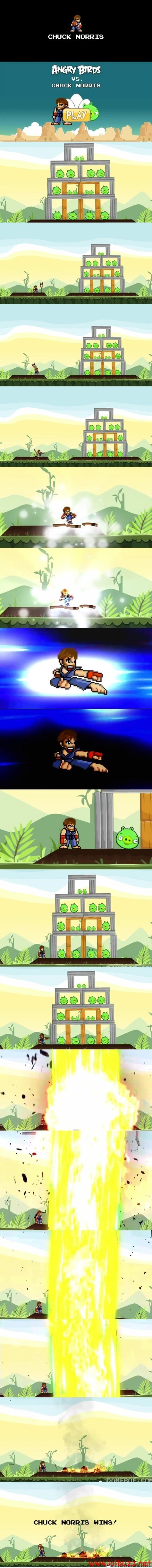 chuck norris 20