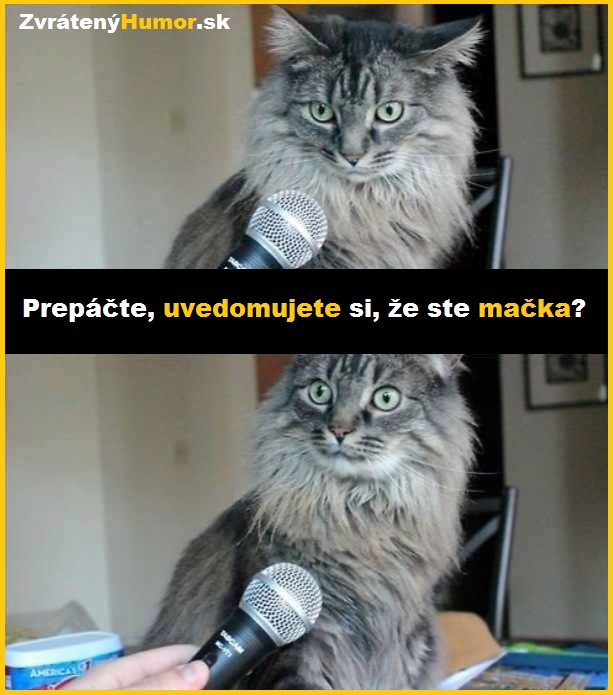 macka