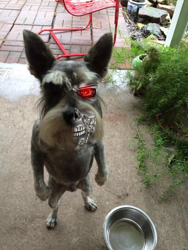 terminator