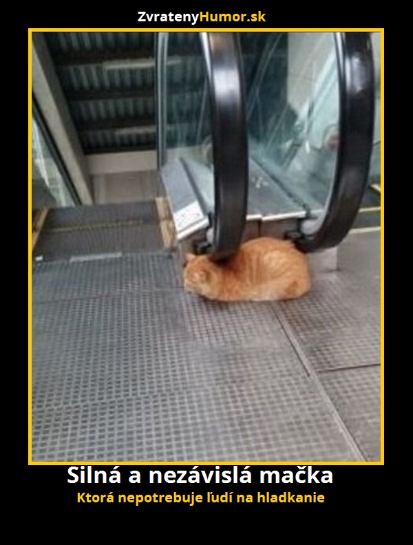 silna a nezavisla macka