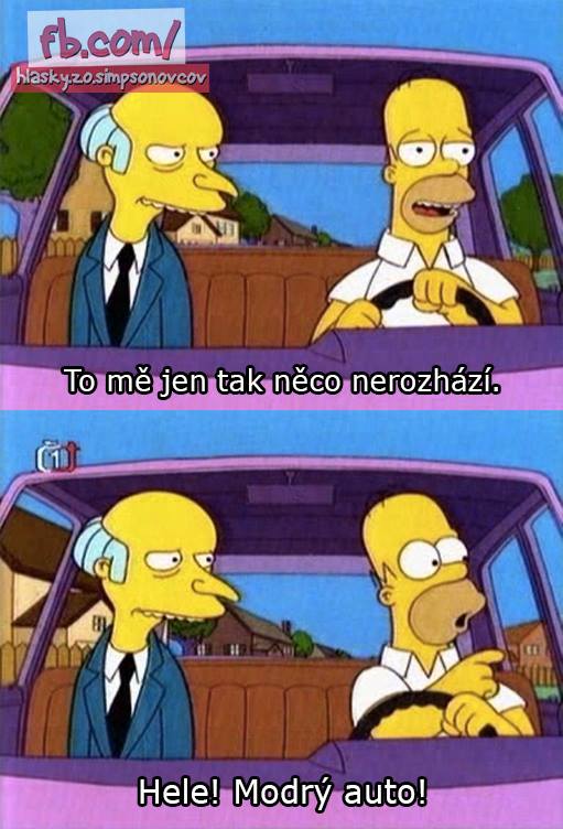 simpsonovci 8
