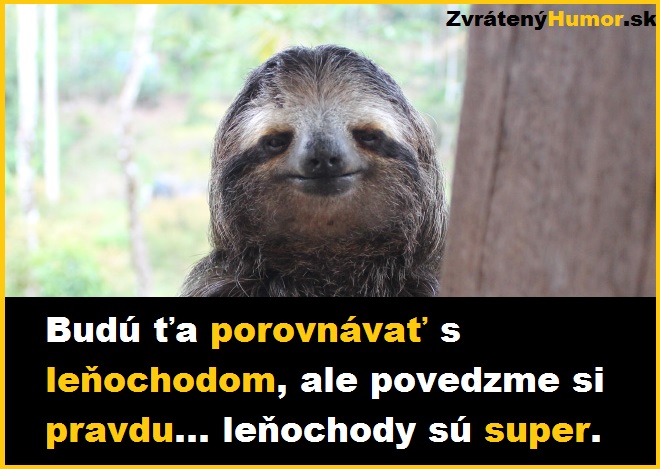 lenochod