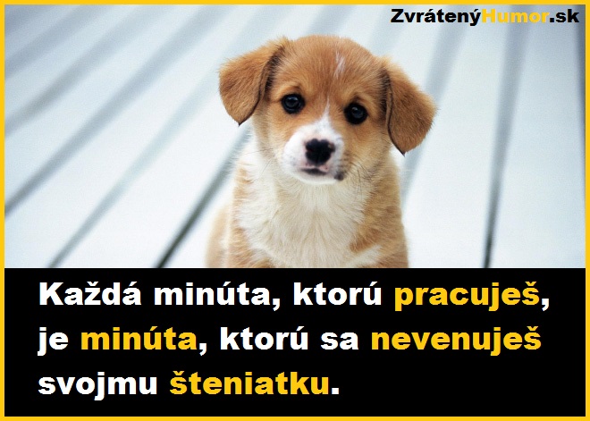 steniatko