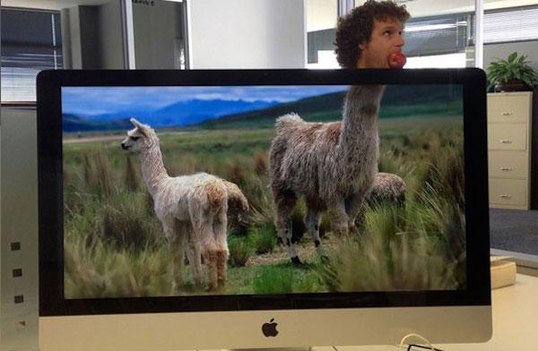 lama