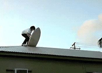 surf