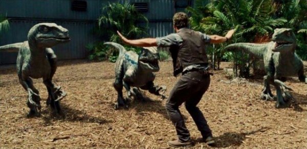 chris pratt