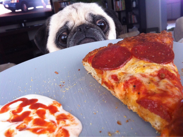 pizza