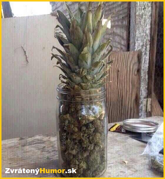 ananas
