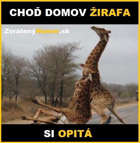 zirafa