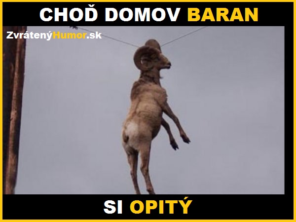 baran