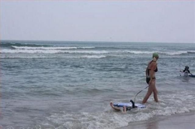 surf