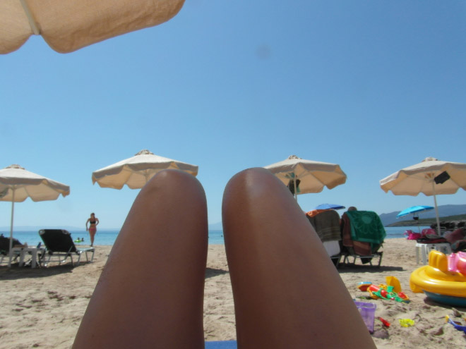 slnecnik