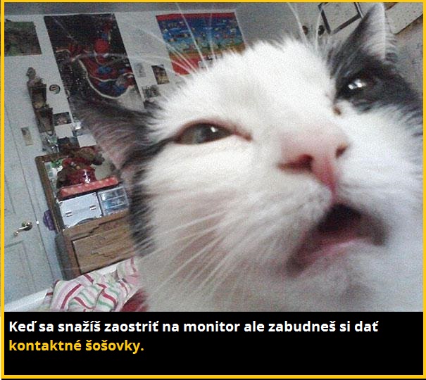 macka