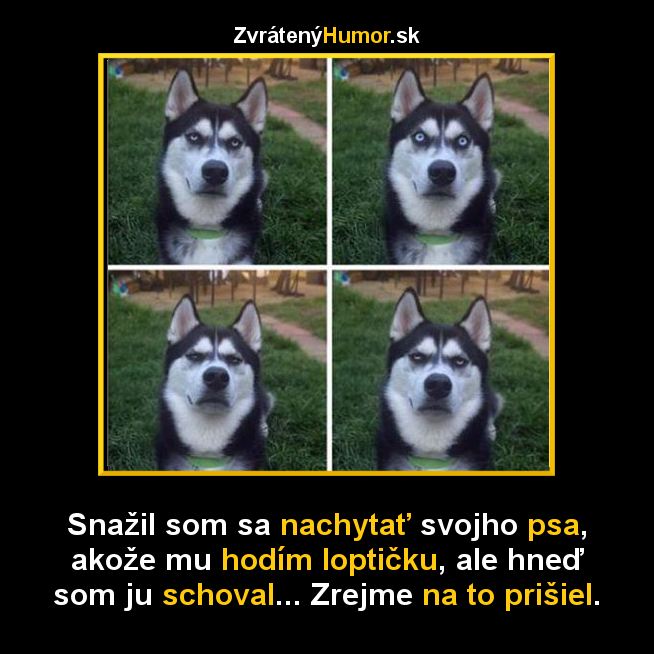 lopticka