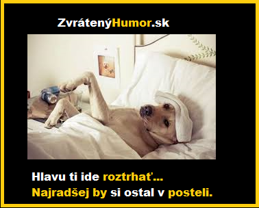 bolest hlavy