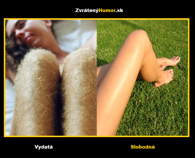 vydata