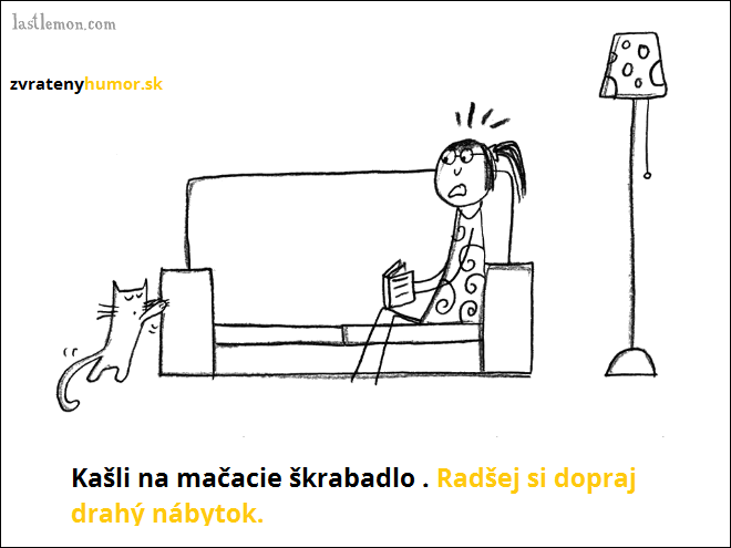 Návod ako byť tá SPRÁVNA mačka