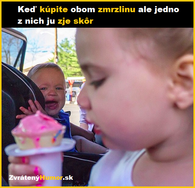 zmrzlina