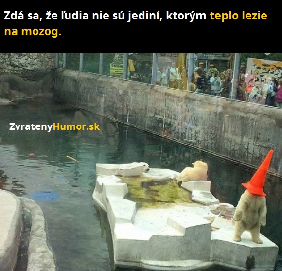 medved