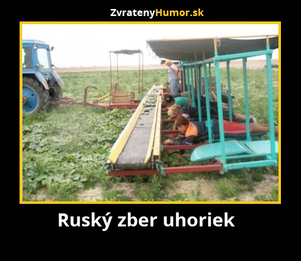 rusko