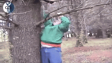 GIF 13