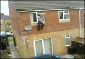 GIF 23