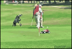 GIF 3
