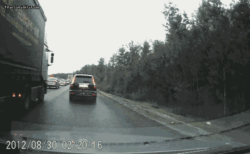 GIF 5
