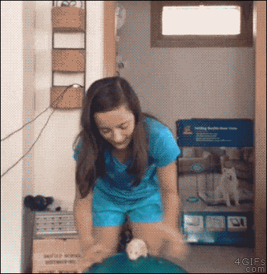 GIF 9