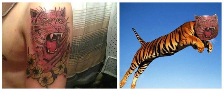 tiger