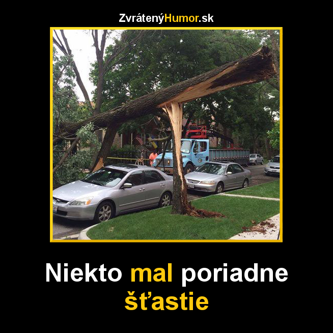 stastie