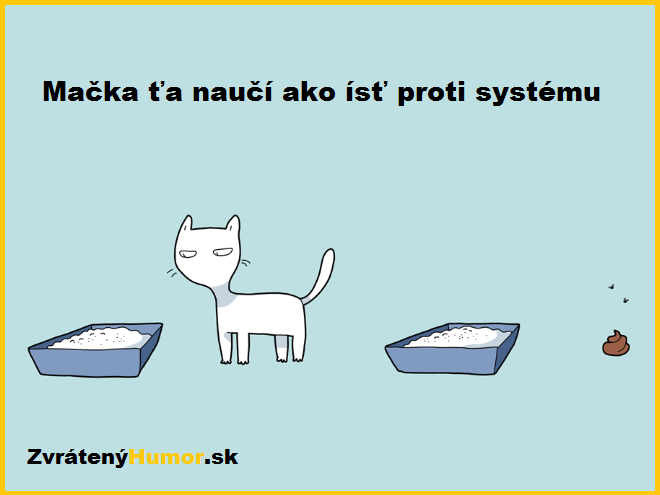 system