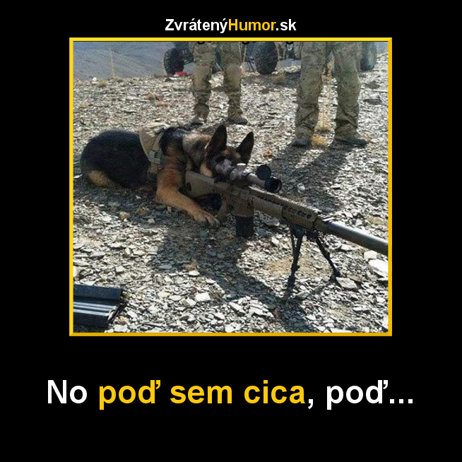 sniper