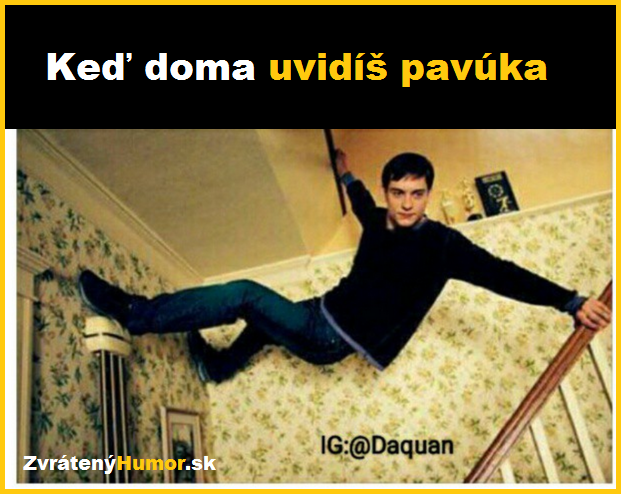 pavucik