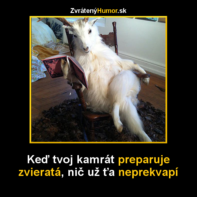 vypchate zviera