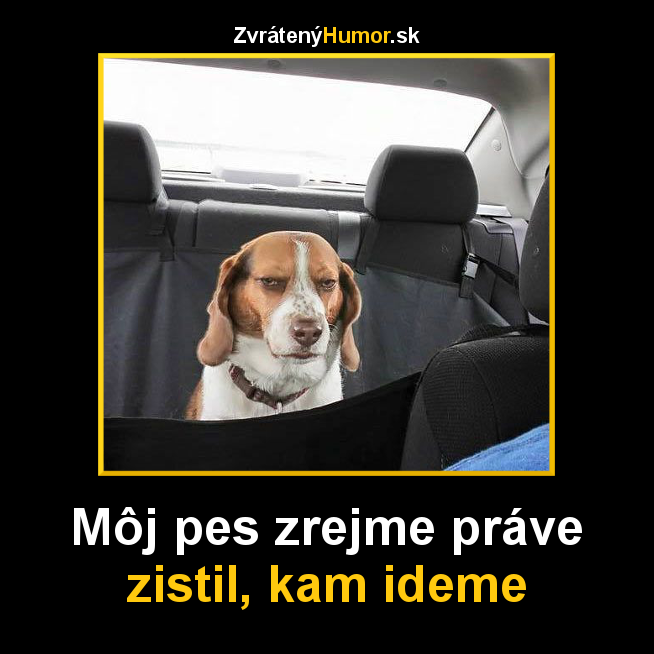 vetrinar