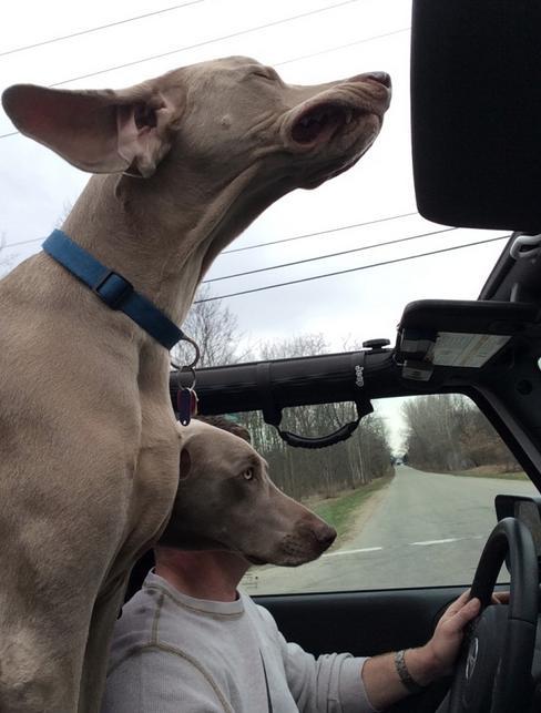 nacasovanie 15