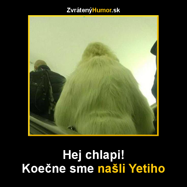 yeti