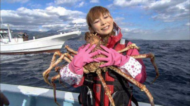 krab