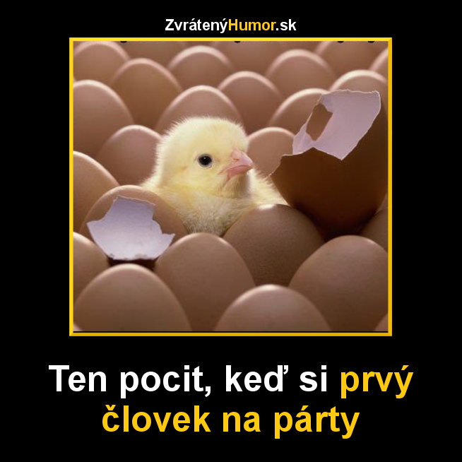 party