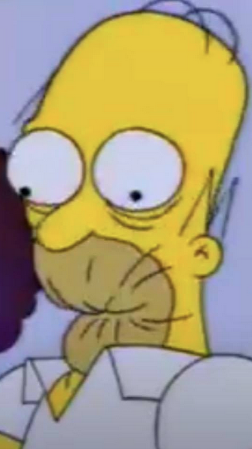 simpsonovci 29