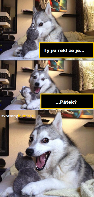 husky 2