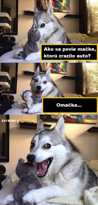 husky 3