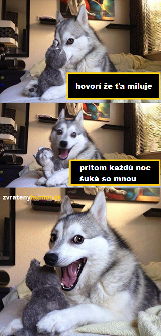 husky 4