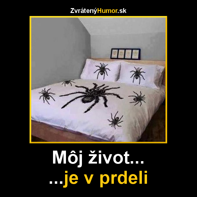 pavuk